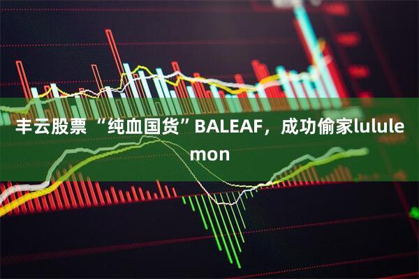 丰云股票 “纯血国货”BALEAF，成功偷家lululemon