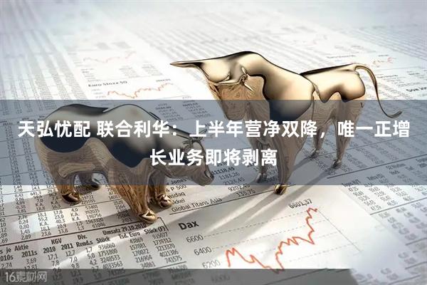天弘忧配 联合利华：上半年营净双降，唯一正增长业务即将剥离
