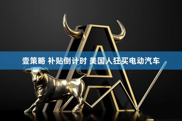 壹策略 补贴倒计时 美国人狂买电动汽车
