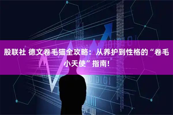 股联社 德文卷毛猫全攻略：从养护到性格的“卷毛小天使”指南!